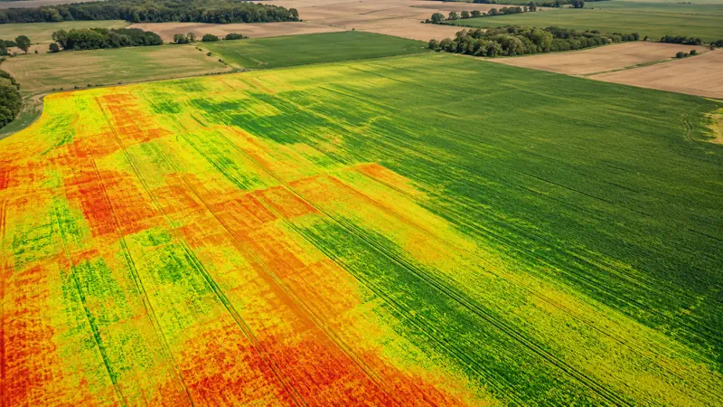 Mapa de vigor de cultivo obtenido con dron en agricultura de precisión